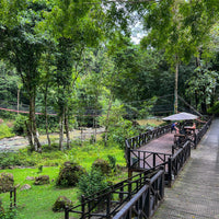 2D1N Tabin Wildlife Reserve with Rainforest Trekking & Lipad Mud Volcano