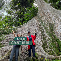 3D2N Tabin Wildlife Reserve with Jungle Walk, Mud Volcano & Lipad Waterfall
