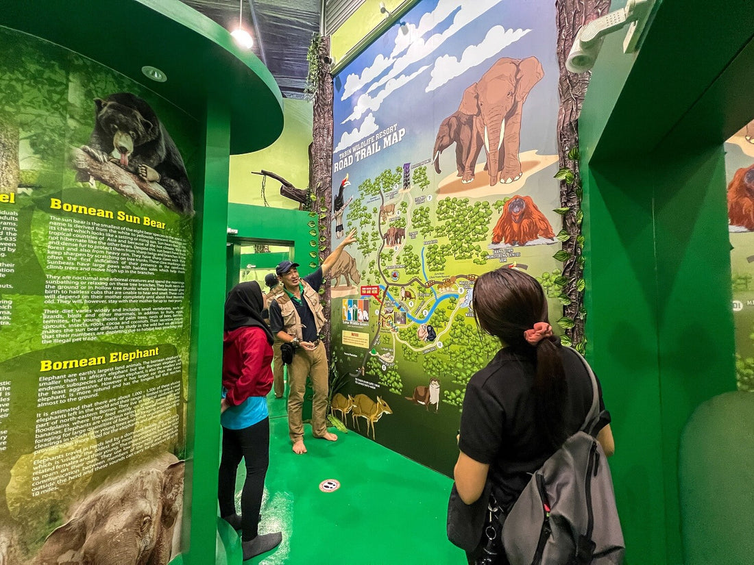 3D2N Tabin Wildlife Reserve with Jungle Walk, Mud Volcano & Lipad Waterfall