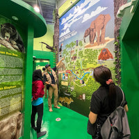 3D2N Tabin Wildlife Reserve with Jungle Walk, Mud Volcano & Lipad Waterfall