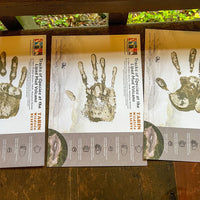 3D2N Tabin Wildlife Reserve with Jungle Walk, Mud Volcano & Lipad Waterfall