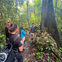 4D3N Tabin Wildlife Reserve with Lipad Mud Volcano, Dusk Safari & Night Walk