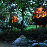 4D3N Tabin Wildlife Reserve with Lipad Mud Volcano, Dusk Safari & Night Walk
