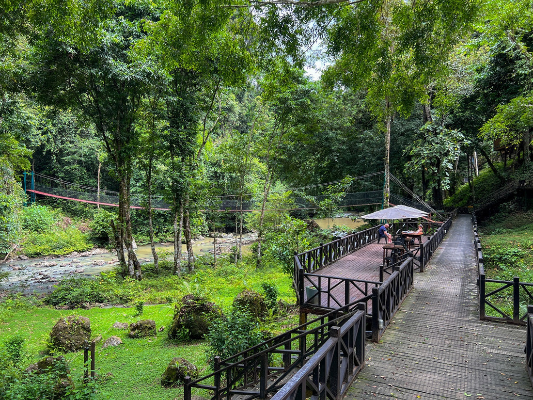 4D3N Tabin Wildlife Reserve with Lipad Mud Volcano, Dusk Safari & Night Walk