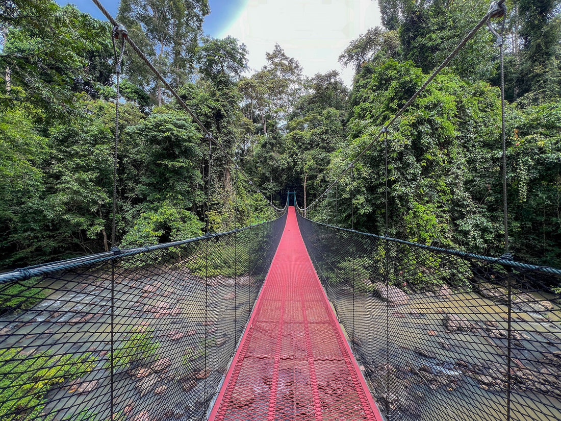 4D3N Tabin Wildlife Reserve with Lipad Mud Volcano, Dusk Safari & Night Walk