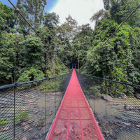 4D3N Tabin Wildlife Reserve with Lipad Mud Volcano, Dusk Safari & Night Walk
