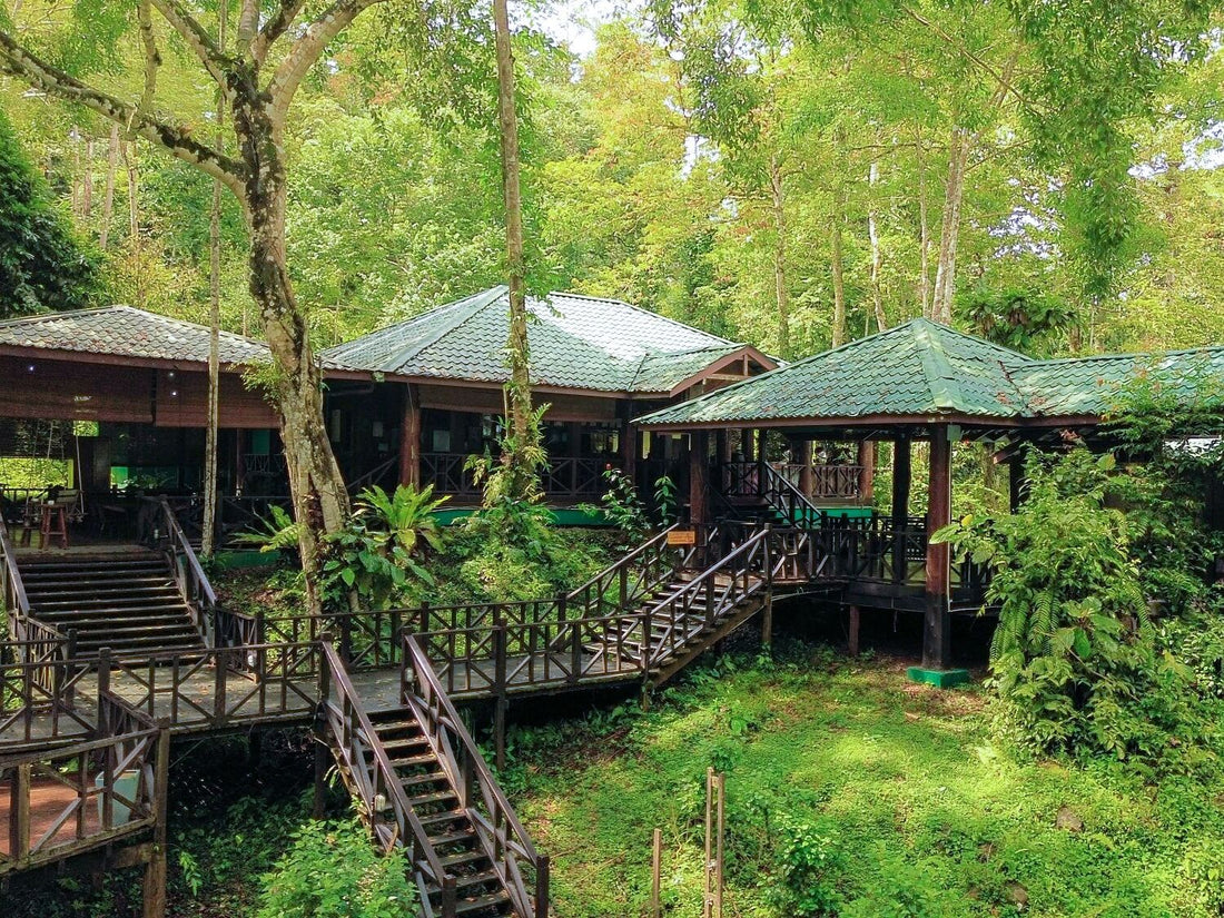 4D3N Tabin Wildlife Reserve with Lipad Mud Volcano, Dusk Safari & Night Walk