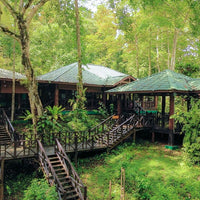 4D3N Tabin Wildlife Reserve with Lipad Mud Volcano, Dusk Safari & Night Walk