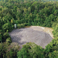 4D3N Tabin Wildlife Reserve with Lipad Mud Volcano, Dusk Safari & Night Walk