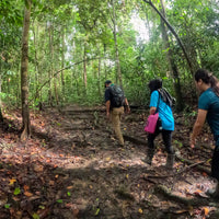 4D3N Tabin Wildlife Reserve with Lipad Mud Volcano, Dusk Safari & Night Walk