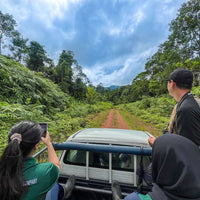 4D3N Tabin Wildlife Reserve with Lipad Mud Volcano, Dusk Safari & Night Walk