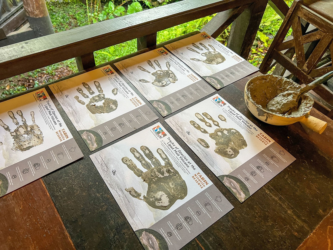 4D3N Tabin Wildlife Reserve with Lipad Mud Volcano, Dusk Safari & Night Walk