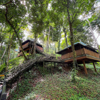 4D3N Tabin Wildlife Reserve with Lipad Mud Volcano, Dusk Safari & Night Walk