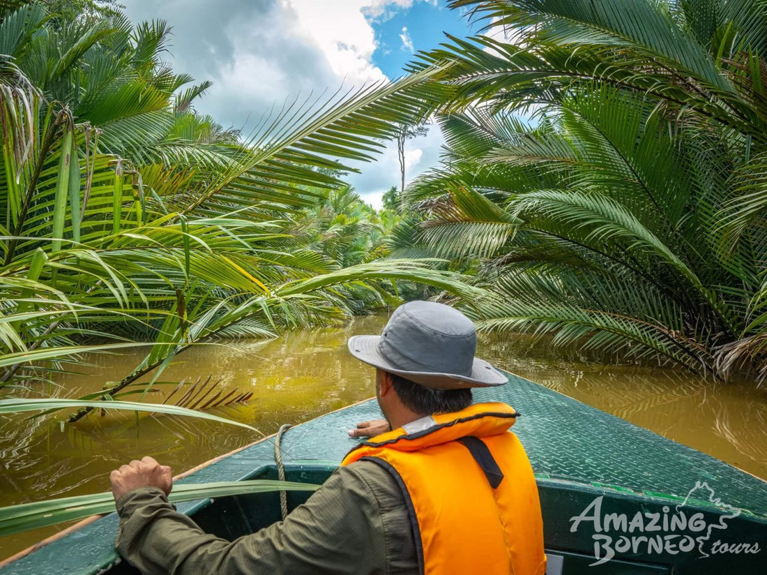 3D2N Sungai Kapur Wildlife Experience at Utan Rainforest Lodge