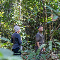 3D2N Sungai Kapur Wildlife Experience at Utan Rainforest Lodge