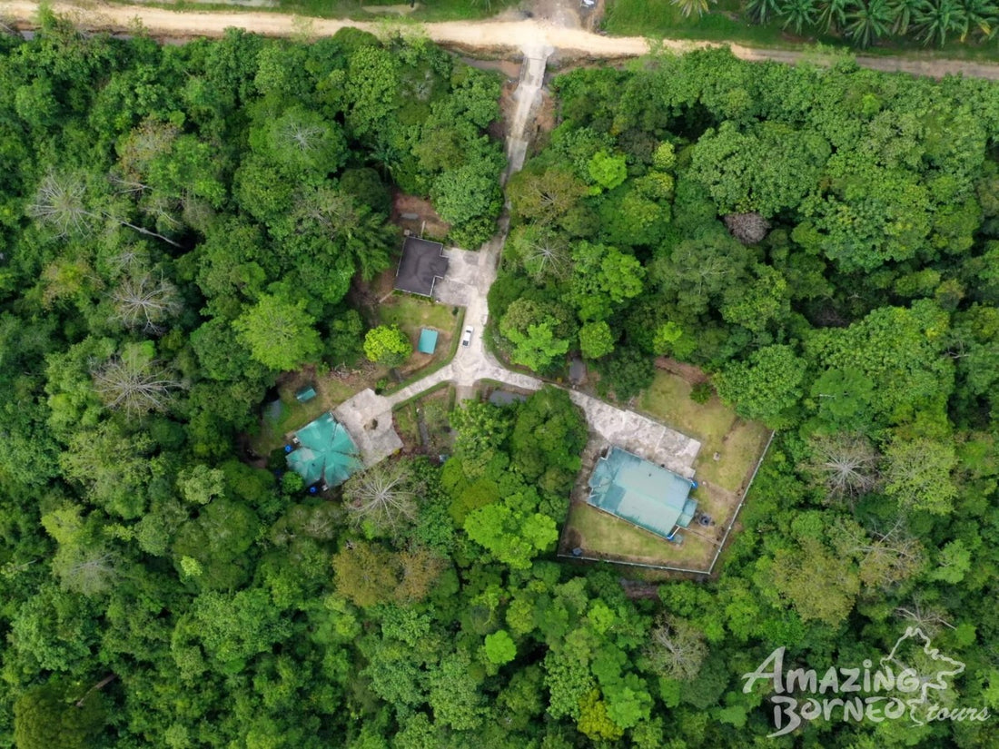 4D3N Sungai Kapur Wildlife Experience at Utan Rainforest Lodge