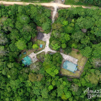 4D3N Sungai Kapur Wildlife Experience at Utan Rainforest Lodge