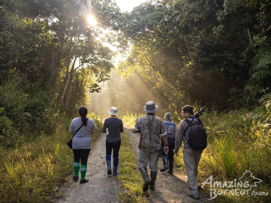 4D3N Sungai Kapur Wildlife Experience at Utan Rainforest Lodge