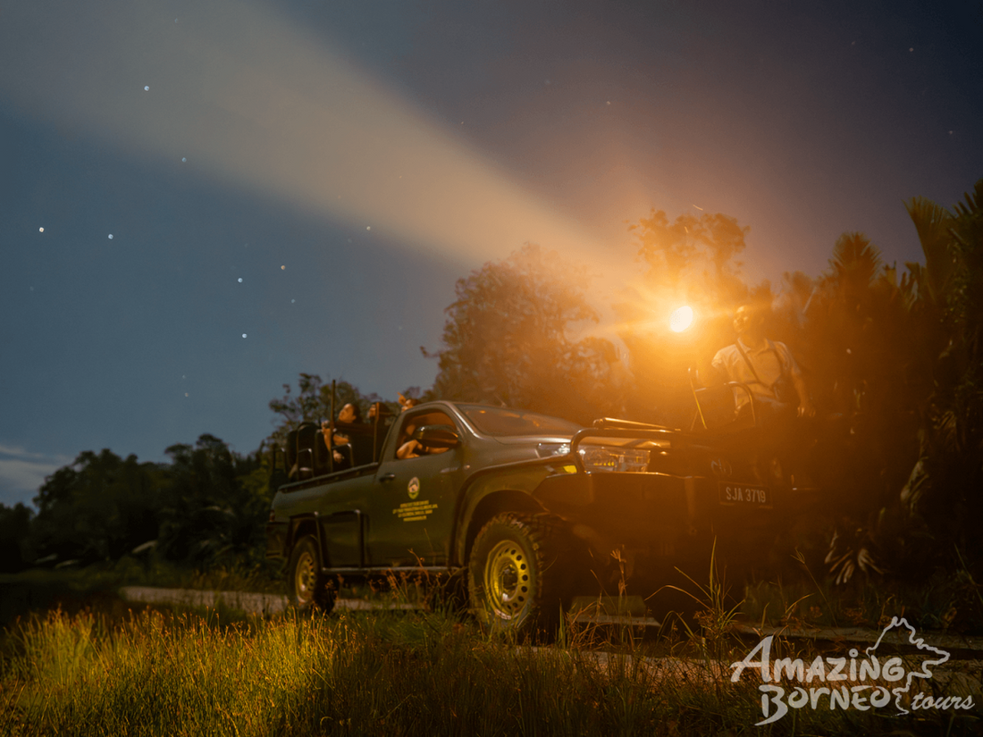 4D3N Sungai Kapur Wildlife Experience at Utan Rainforest Lodge