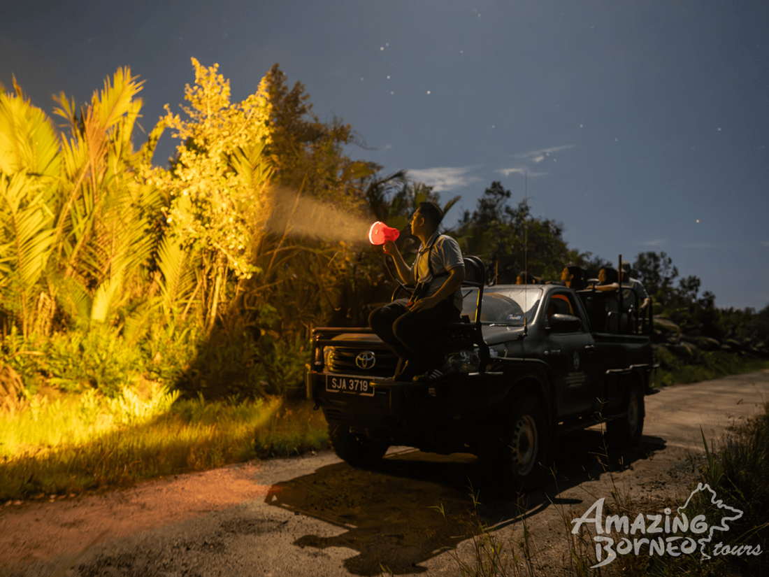 3D2N Sungai Kapur Wildlife Experience at Utan Rainforest Lodge