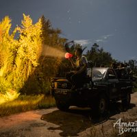 3D2N Sungai Kapur Wildlife Experience at Utan Rainforest Lodge
