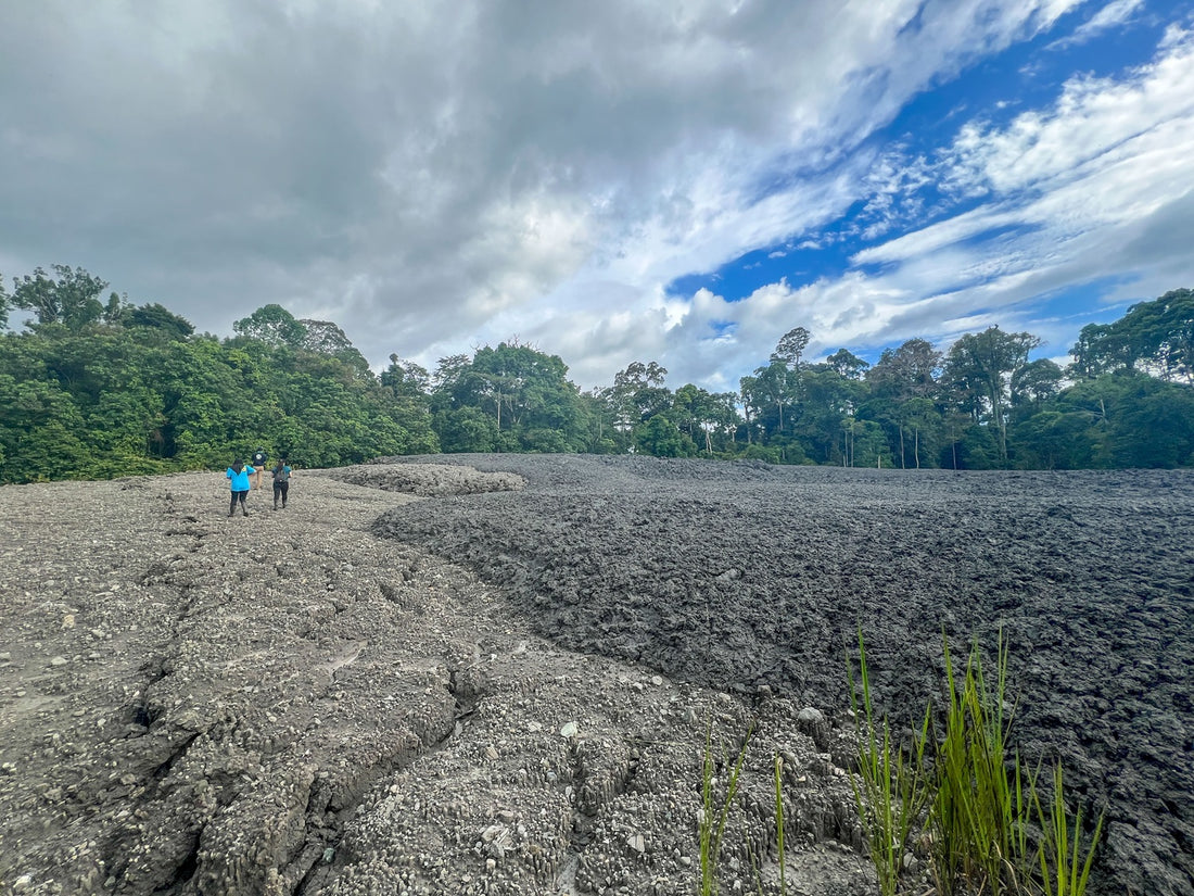 2D1N Tabin Wildlife Encounter