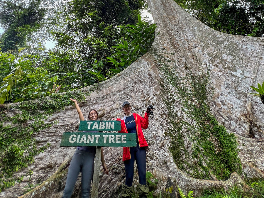 3D2N Tabin Wildlife Observation & Nature