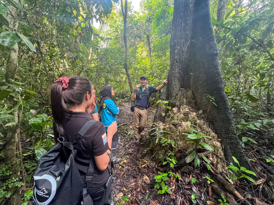 3D2N Tabin Wildlife Observation & Nature