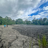 3D2N Tabin Wildlife Observation & Nature