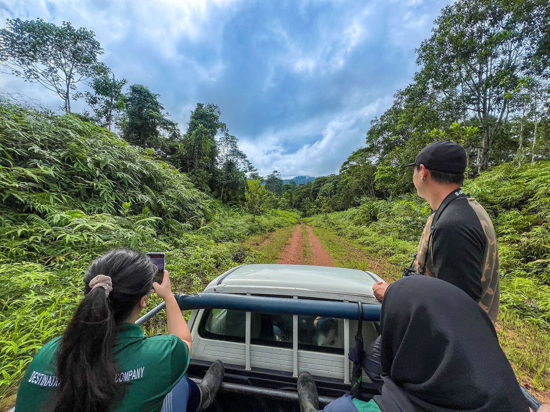 4D3N Tabin Wildlife Safari