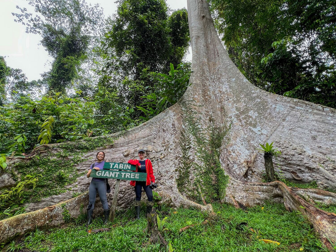 4D3N Tabin Wildlife Safari