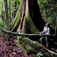 9D8N Danum Valley Triple Gem with Tabin Wildlife Resort, Danum Valley Field Centre & Borneo Rainforest Lodge