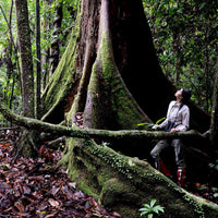 7D6N Danum Valley Triple Gem with Tabin Wildlife Resort, Danum Valley Field Centre & Borneo Rainforest Lodge