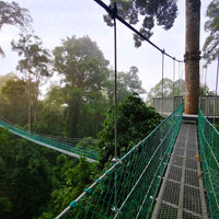 9D8N Danum Valley Triple Gem with Tabin Wildlife Resort, Danum Valley Field Centre & Borneo Rainforest Lodge