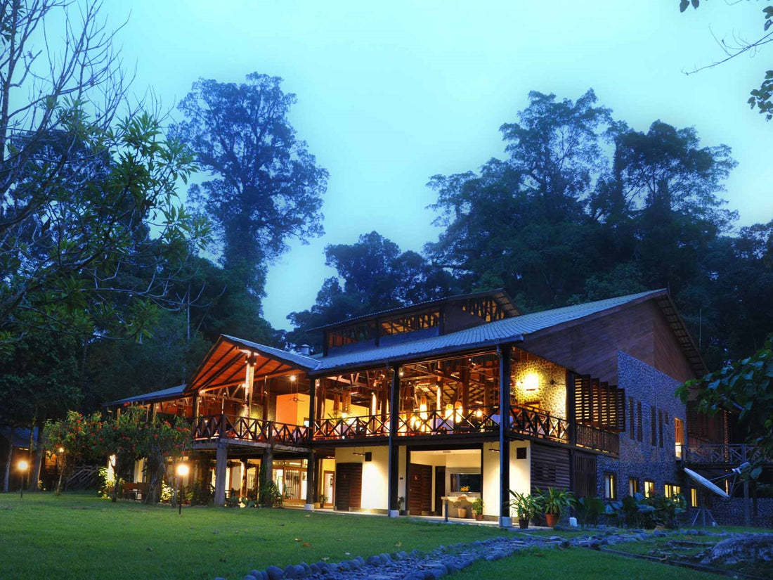 7D6N Danum Valley Triple Gem with Tabin Wildlife Resort, Danum Valley Field Centre & Borneo Rainforest Lodge