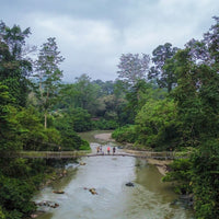 7D6N Danum Valley Triple Gem with Tabin Wildlife Resort, Danum Valley Field Centre & Borneo Rainforest Lodge