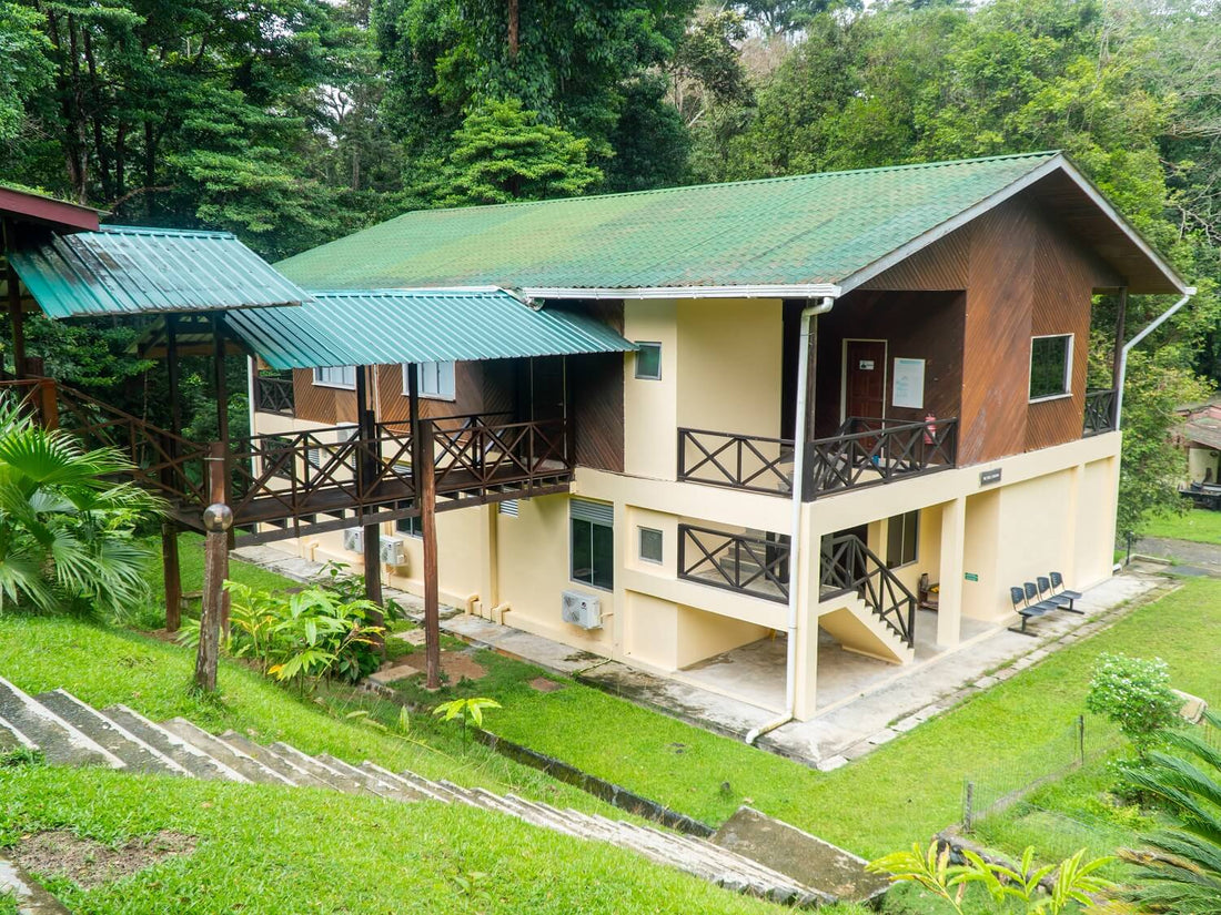 9D8N Danum Valley Triple Gem with Tabin Wildlife Resort, Danum Valley Field Centre & Borneo Rainforest Lodge