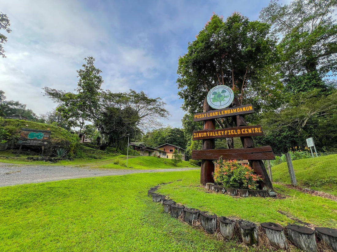 7D6N Danum Valley Triple Gem with Tabin Wildlife Resort, Danum Valley Field Centre & Borneo Rainforest Lodge