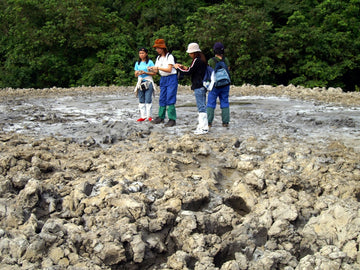 6D5N in Jungle and Coral Paradise: Tabin Wildlife Resort, Lipad Mud Volcano Trekking, Tabin Rock Pool, and Sipadan Kapalai Island Dive Resort (Non-Divers)