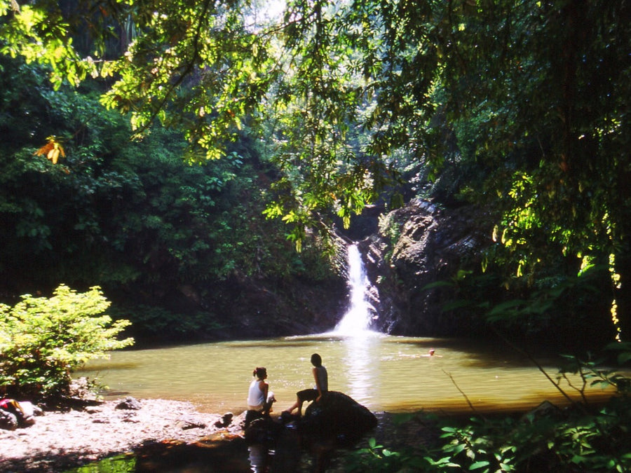 6D5N in Jungle and Coral Paradise: Tabin Wildlife Resort, Lipad Mud Volcano Trekking, Tabin Rock Pool, and Sipadan Kapalai Island Dive Resort (Non-Divers)