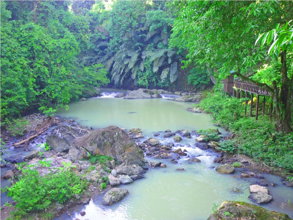 6D5N in Jungle and Coral Paradise: Tabin Wildlife Resort, Lipad Mud Volcano Trekking, Tabin Rock Pool, and Sipadan Kapalai Island Dive Resort (Non-Divers)