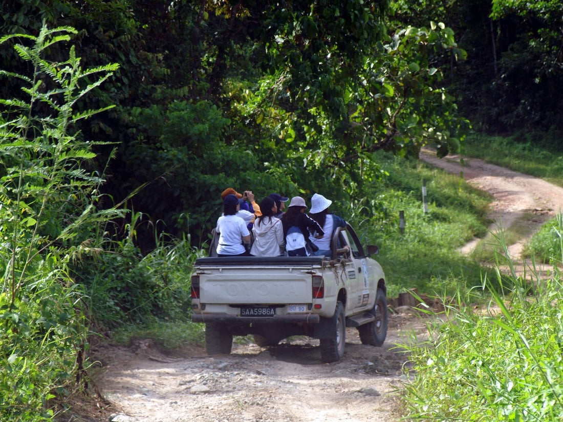 6D5N in Jungle and Coral Paradise: Tabin Wildlife Resort, Lipad Mud Volcano Trekking, Tabin Rock Pool, and Sipadan Kapalai Island Dive Resort (Non-Divers)