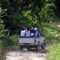 6D5N in Jungle and Coral Paradise: Tabin Wildlife Resort, Lipad Mud Volcano Trekking, Tabin Rock Pool, and Sipadan Kapalai Island Dive Resort (Non-Divers)