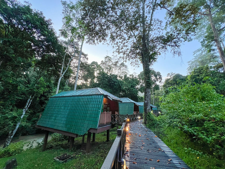 6D5N in Jungle and Coral Paradise: Tabin Wildlife Resort, Lipad Mud Volcano Trekking, Tabin Rock Pool, and Sipadan Kapalai Island Dive Resort (Non-Divers)