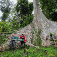 6D5N in Jungle and Coral Paradise: Tabin Wildlife Resort, Lipad Mud Volcano Trekking, Tabin Rock Pool, and Sipadan Kapalai Island Dive Resort (Non-Divers)