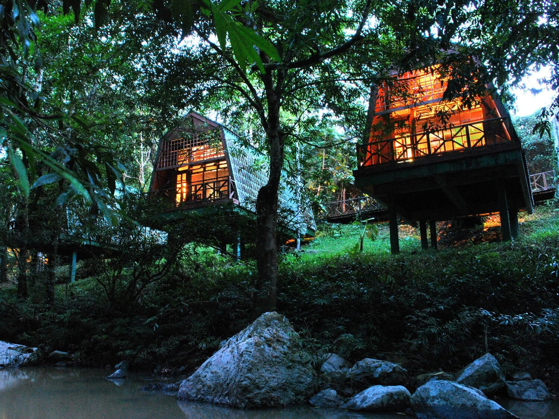 7D6N Danum Valley Triple Gem with Tabin Wildlife Resort, Danum Valley Field Centre & Borneo Rainforest Lodge