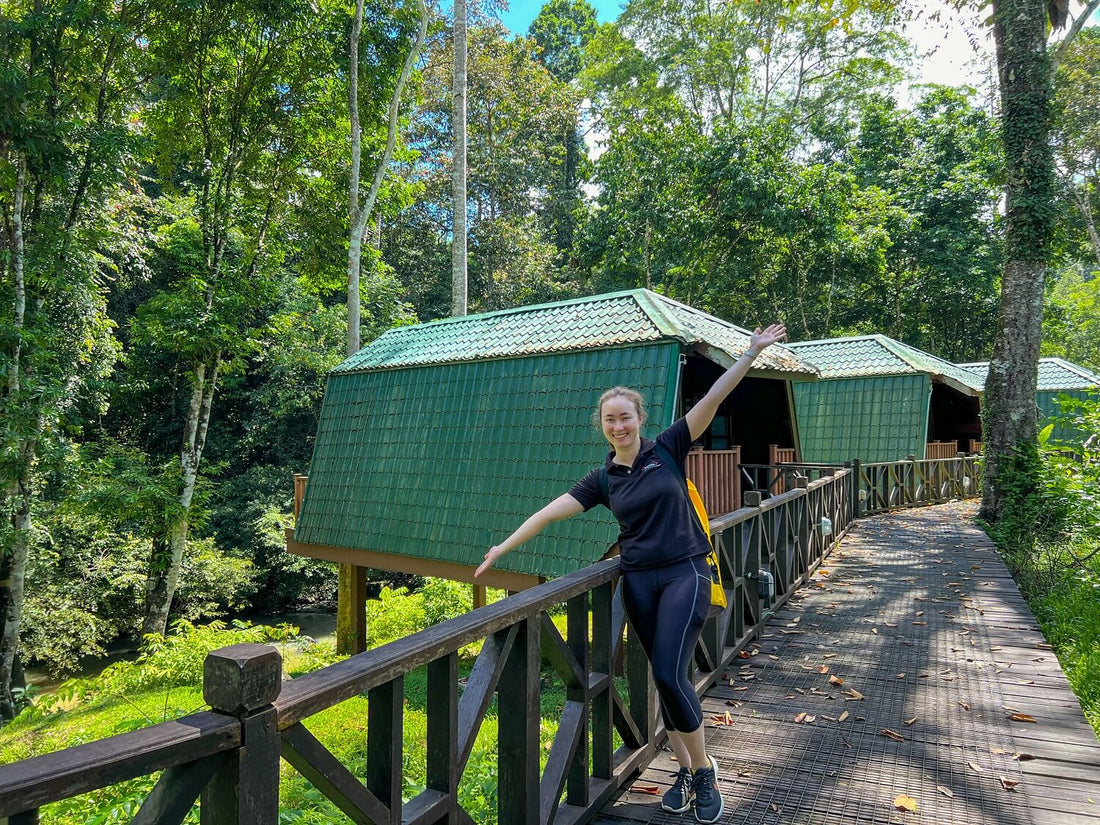 7D6N Danum Valley Triple Gem with Tabin Wildlife Resort, Danum Valley Field Centre & Borneo Rainforest Lodge